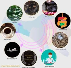 Kopi Luwak Koffie. 35 Gram Ongemalen Bonen. Direct Trade. Single Origin. The Original By Rich.Exclusive. -Koffie Korting Winkel 1200x1153