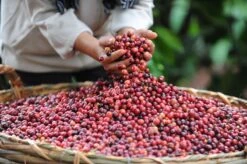 Starbucks Pike Place Medium Roast Koffiebonen - 4 Zakken à 450 Gram -Koffie Korting Winkel 1200x798 1