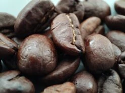 Voordeelpakket: Den Leeuw Lungo (80 Koffiecups) - Roast Koffiecups - Echte Hollandsche Koffie Van Den Leeuw In Nespresso Cups - Nespresso Compatibele Koffie Cups -Koffie Korting Winkel 1200x900 2