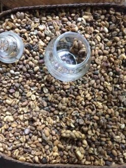 Kopi Luwak Koffie. 35 Gram Ongemalen Bonen. Direct Trade. Single Origin. The Original By Rich.Exclusive. -Koffie Korting Winkel 900x1200